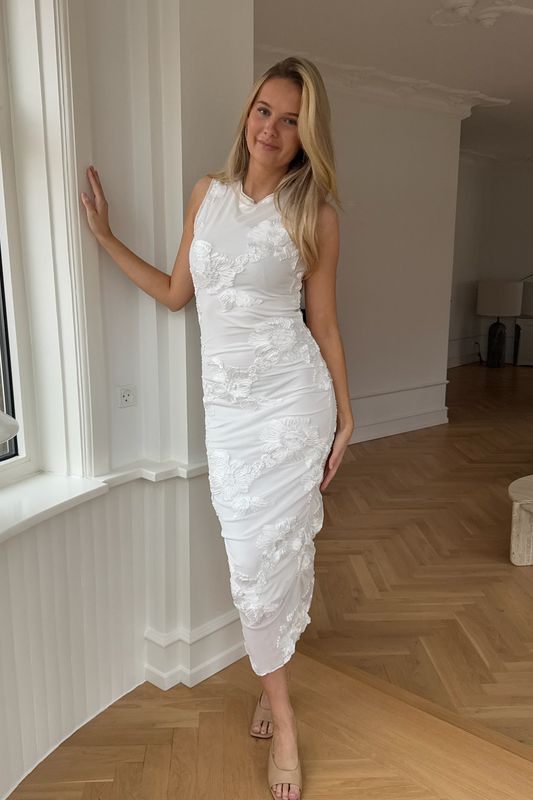 Mira Mesh Dress