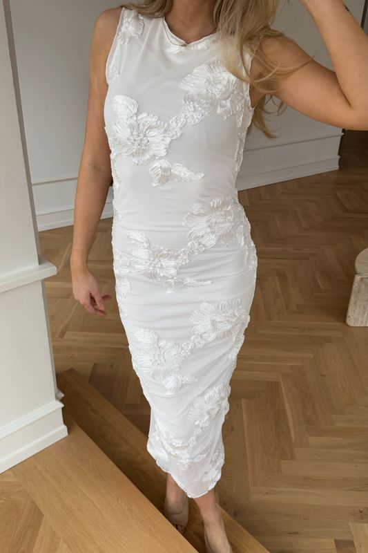 Mira Mesh Dress