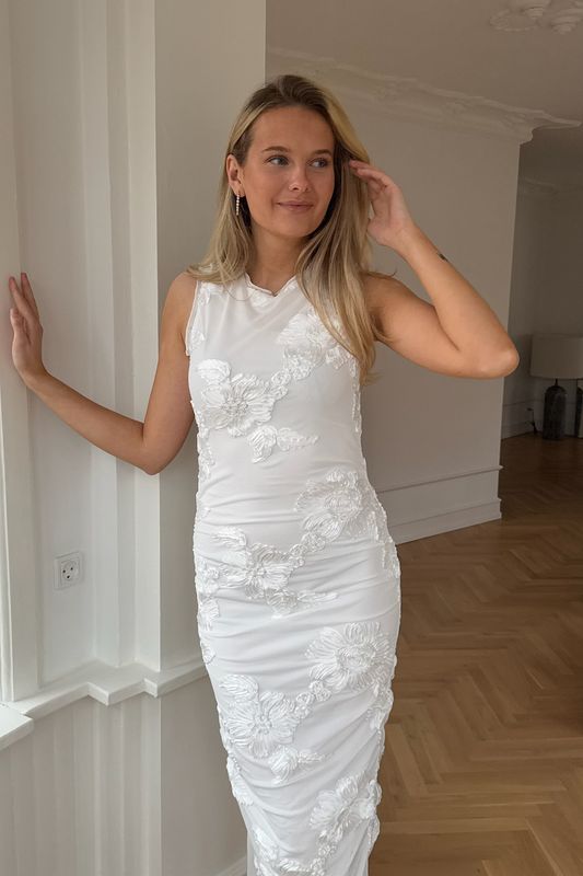 Mira Mesh Dress