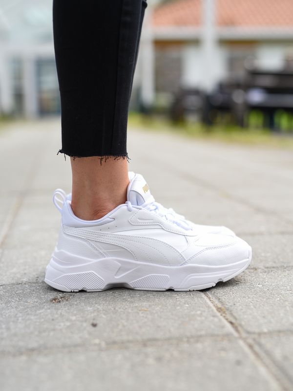 Cassia SL